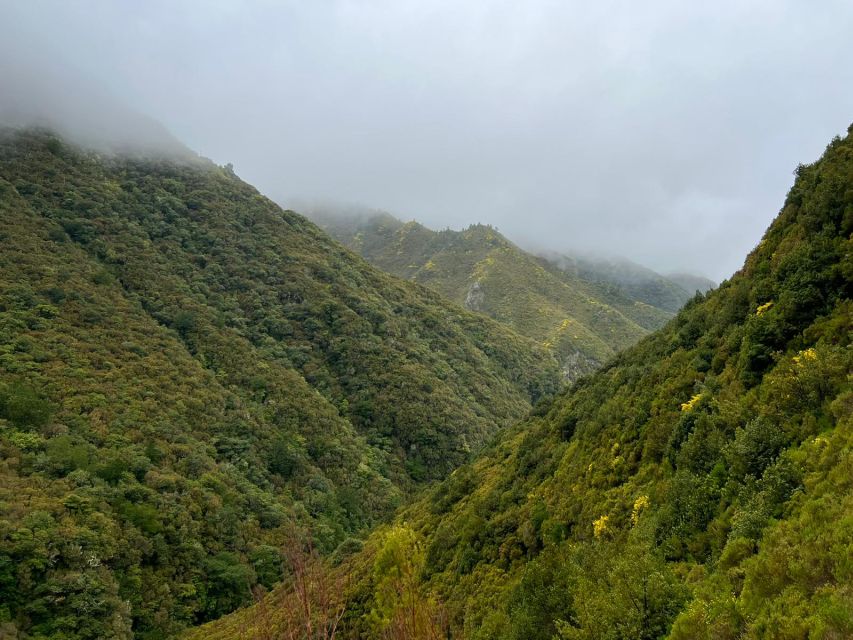 Rabaçal: 25 Fontes & Risco Levada Hiking Transfer - Rabaçal To 25 Fontes: Why This Hike Works So Well