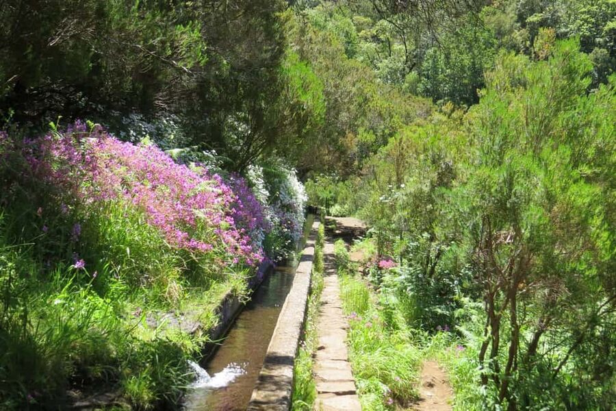 Rabaçal: 25 Fontes & Risco Levada Hiking Transfer - Adding Risco: The Extra Detour That Gives You a Second Big Moment