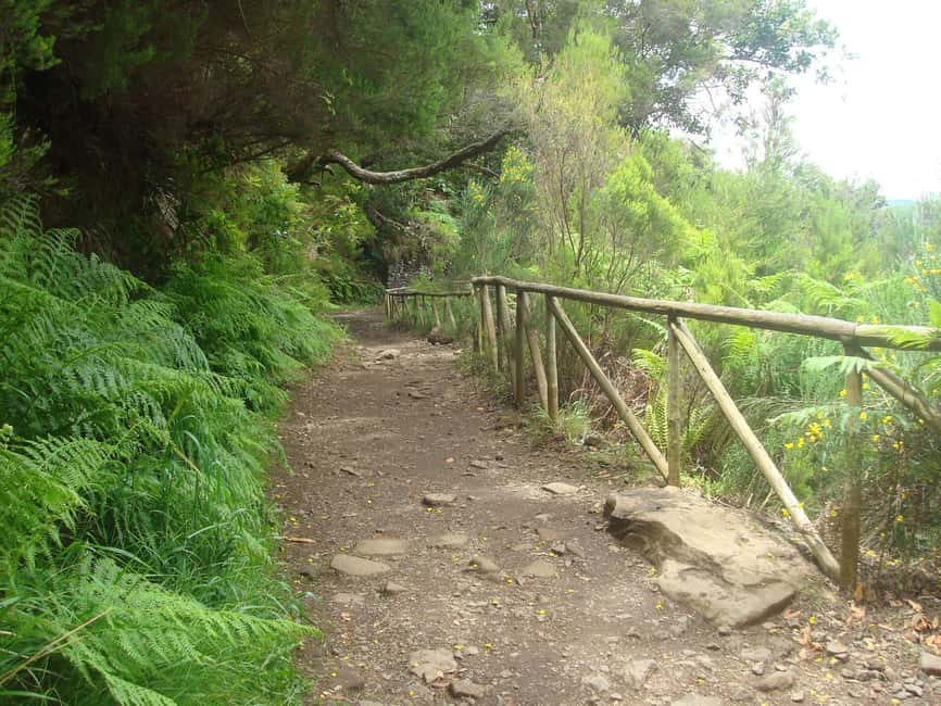 Rabaçal: 25 Fontes & Risco Levada Hiking Transfer - Food, Water, and the Casa do Rabaçal Stop