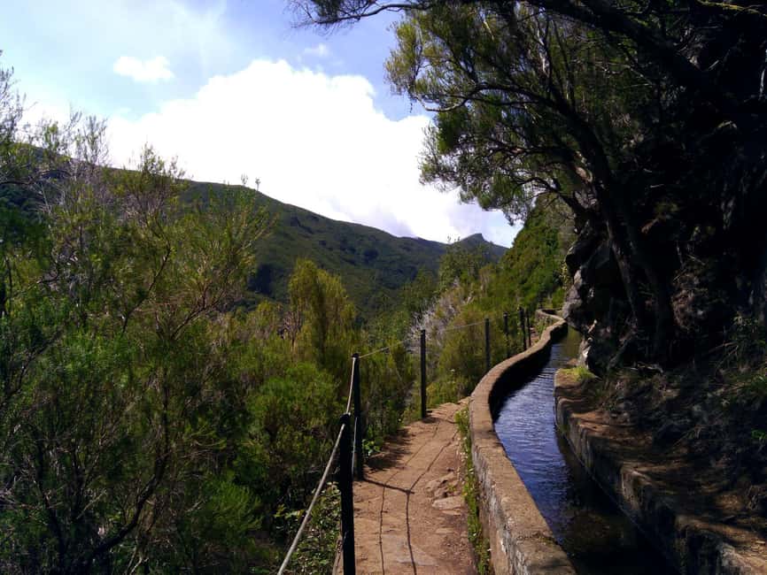 Rabaçal: 25 Fontes & Risco Levada Hiking Transfer - Forest Fee Reality: The 4.5 EUR IFCN Ticket You Must Plan For
