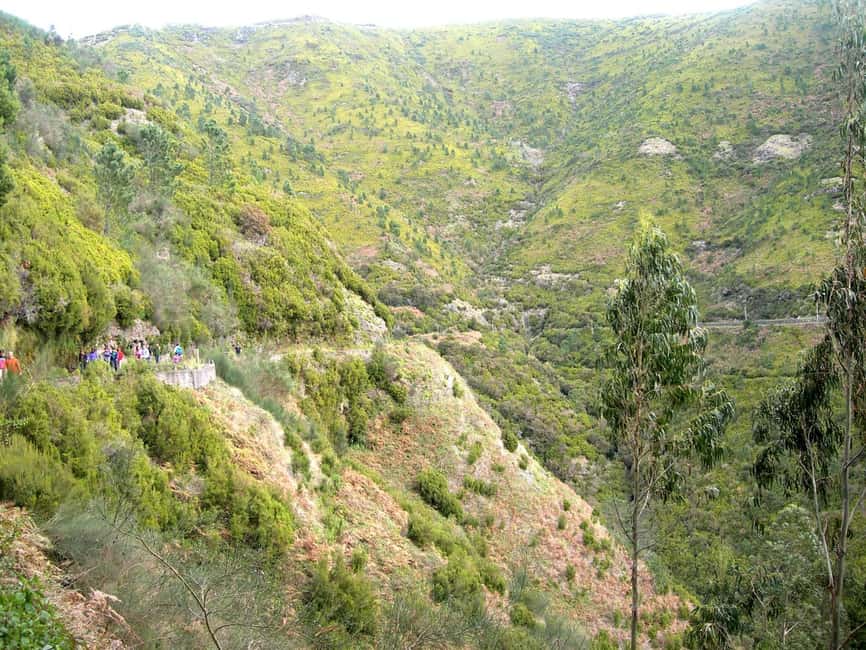 Rabaçal: 25 Fontes & Risco Levada Hiking Transfer - The Transfer Setup: Shared Van, English Host, and Fixed Start/Finish