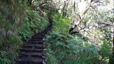 Rabaçal: 25 Fontes & Risco Levada Transfer Self-guided Hike - Getting from Funchal to Rabaçal: the shared-van advantage