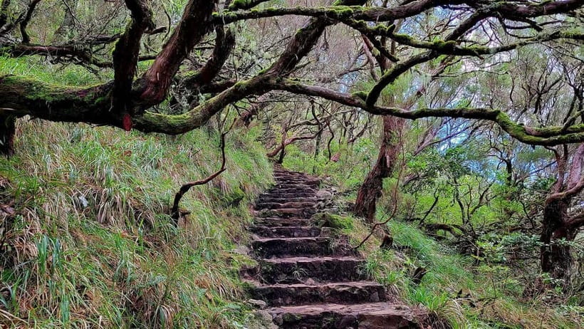 Rabaçal: 25 Fontes & Risco Levada Transfer Self-guided Hike - Timing strategy: how early affects your photos and your feet