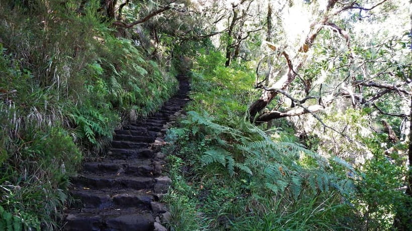 Rabaçal: 25 Fontes & Risco Levada Transfer Self-guided Hike - Getting from Funchal to Rabaçal: the shared-van advantage