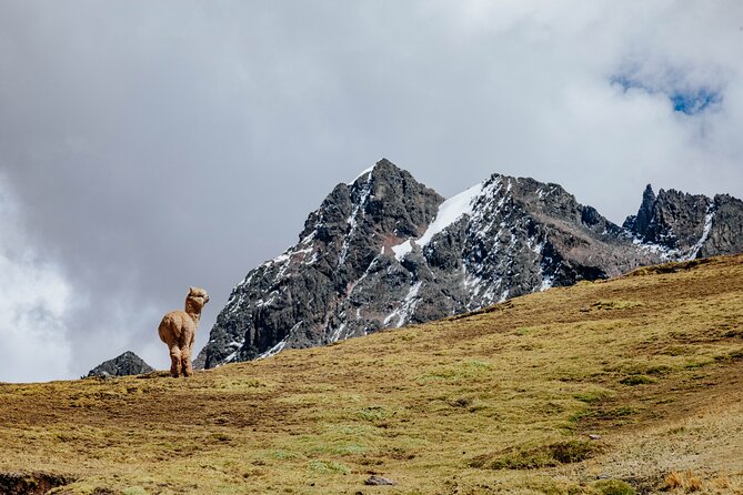Rainbow Mountain and Red Valley Hike – 2 Days / 1 Night - Gear and comfort tips that match how this tour runs
