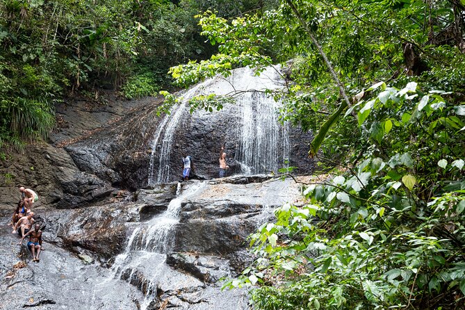 Rainforest Hike and Waterfall Safari - Key Points You’ll Want to Know