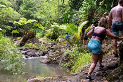 Rainforest Hike and Waterfall Safari - Fruit Plantations, Wildlife Spotting, and the Scenic Road to the Waterfall