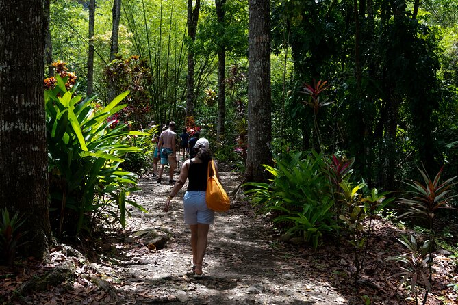 Rainforest Hike and Waterfall Safari - Guides and Drivers Make (or Break) the Day