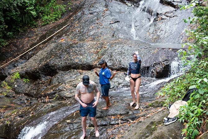 Rainforest Hike and Waterfall Safari - Timing Reality Check: The Half-Day Format Works, But It’s Not a Full Retreat
