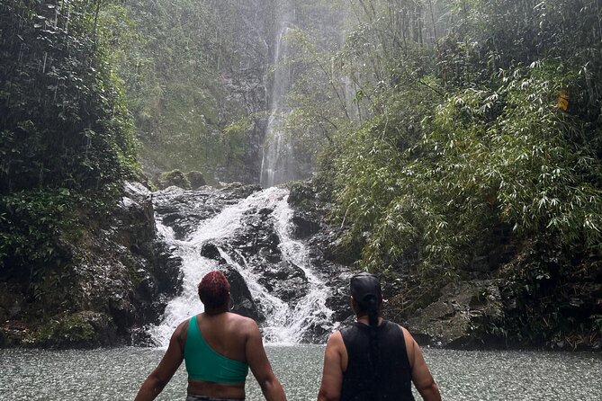 Rainforest Hike to Hidden Waterfall in Puerto Rico with Transport - How Long It Really Takes and How to Plan Your Puerto Rico Day