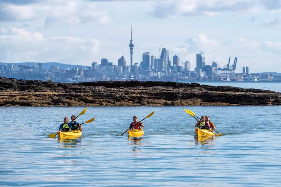 Rangitoto Island: Sea Kayak & Summit Hike Day Trip - What the guides do (and why it matters on open water)