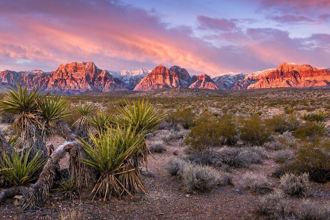 Red Rock Canyon Hike with Transport from Las Vegas - Red Rock Canyon Hike: Why This Beats Another Vegas Night