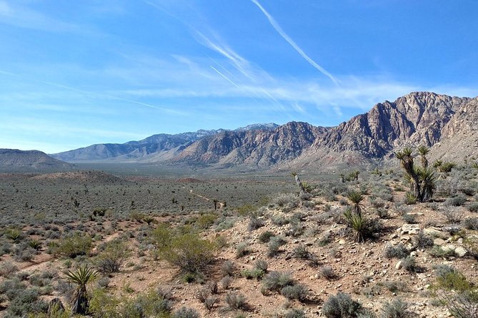 Red Rock Canyon Hike with Transport from Las Vegas - Scenic Moments: What You’ll Notice Along the Way