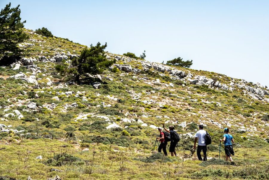 Rhodes: Hiking Tour to the Summit of Akramitis with Photos - Price and what you’re really paying for (at $76 per person)
