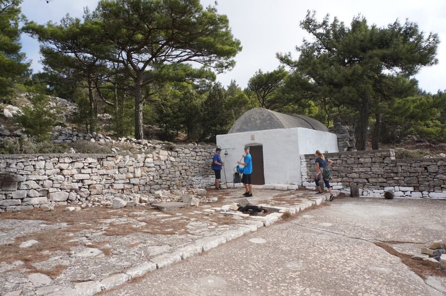 Rhodes: Hiking Tour to the Summit of Akramitis with Photos - The descent through tall pines: different route, easier rhythm