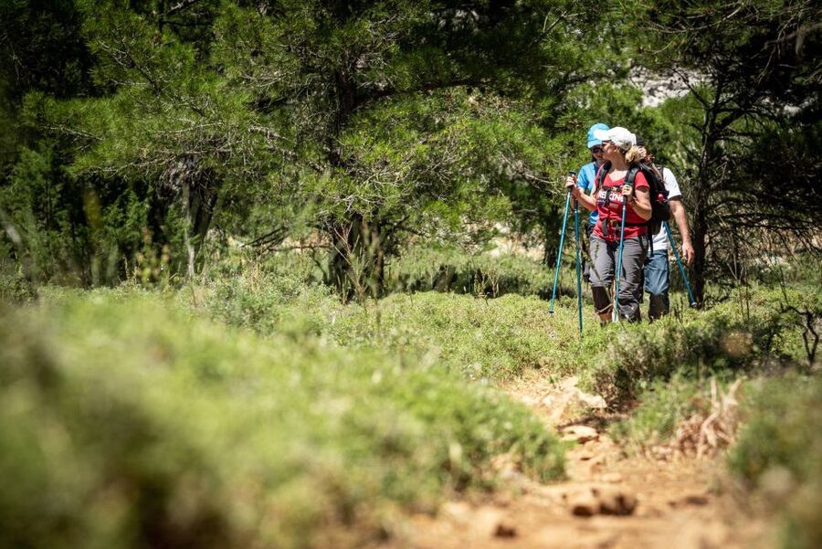 Rhodes: Hiking Tour to the Summit of Akramitis with Photos - Timing and distance: what the schedule really means for your day