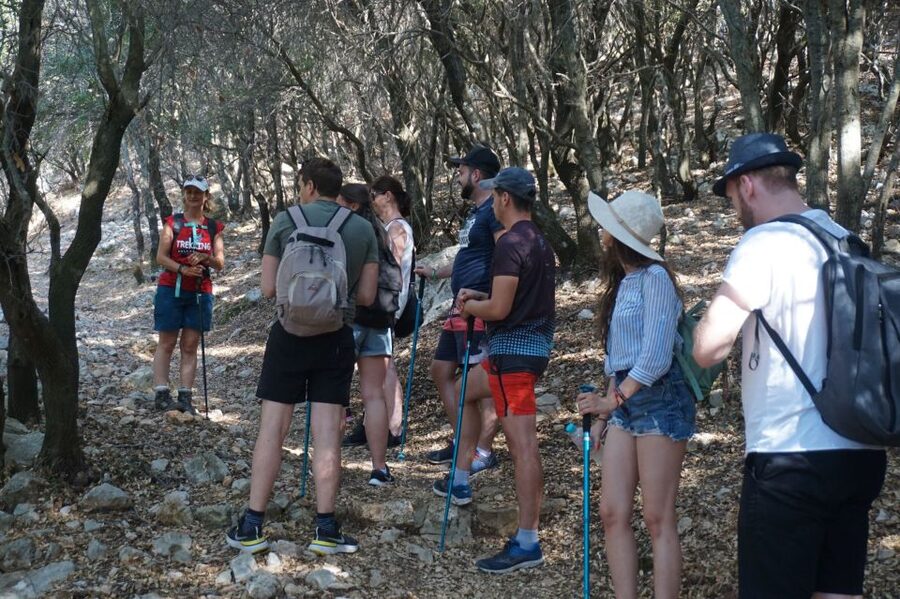 Rhodes: Profitis Ilias Guided Sunset Hike - Key things I’d plan around