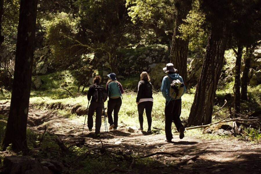 Rhodes: Profitis Ilias Guided Sunset Hike - Who this hike fits best (and who should skip it)