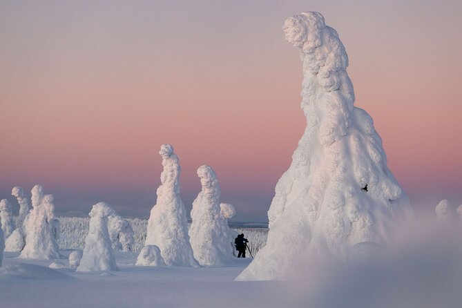 Riisitunturi Snow Monsters Winter Hike from Rovaniemi with Lunch - Riisitunturi Snow Monsters: What You’re Walking Through