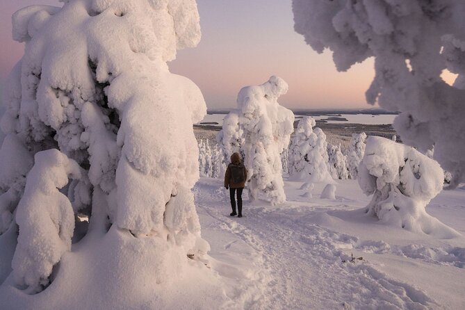 Riisitunturi Snow Monsters Winter Hike from Rovaniemi with Lunch - Timing, Pace, and Group Size in a Full 8-Hour Day