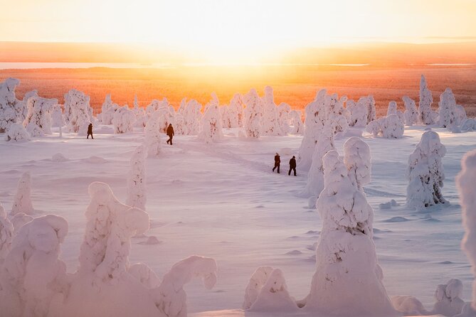 Riisitunturi Snow Monsters Winter Hike from Rovaniemi with Lunch - The Open-Fire BBQ Lunch: Warm Fuel in the Wilderness