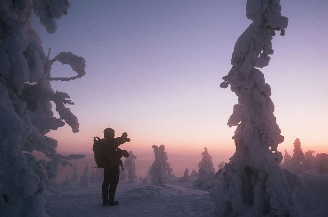 Riisitunturi Snow Monsters Winter Hike from Rovaniemi with Lunch - Price and Value: What You’re Paying For