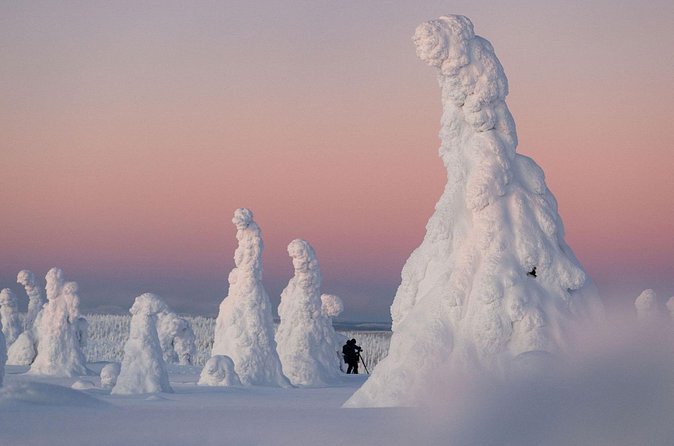 Riisitunturi Snow Monsters Winter Hike from Rovaniemi with Lunch - Who This Tour Fits Best (and Who Might Want a Different Plan)