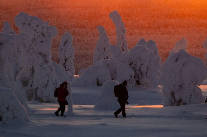 Riisitunturi Snow Monsters Winter Hike from Rovaniemi with Lunch - Should You Book This Riisitunturi Winter Hike?
