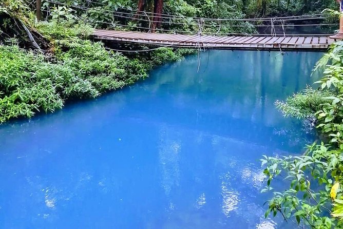 Rio Celeste, Tenorio Hike, Sloths Sanctuary & Meal - Tenorio Volcano National Park: The 5-Mile Rainforest Hike