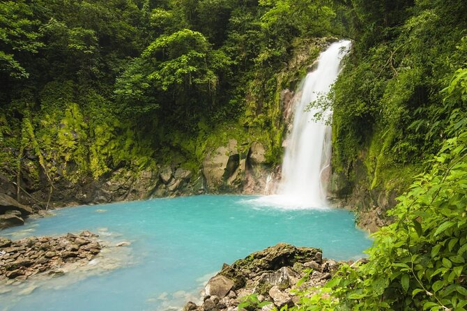 Rio Celeste Waterfall Hike from Arenal - The unforgettable sky-blue water of Tenorio National Park