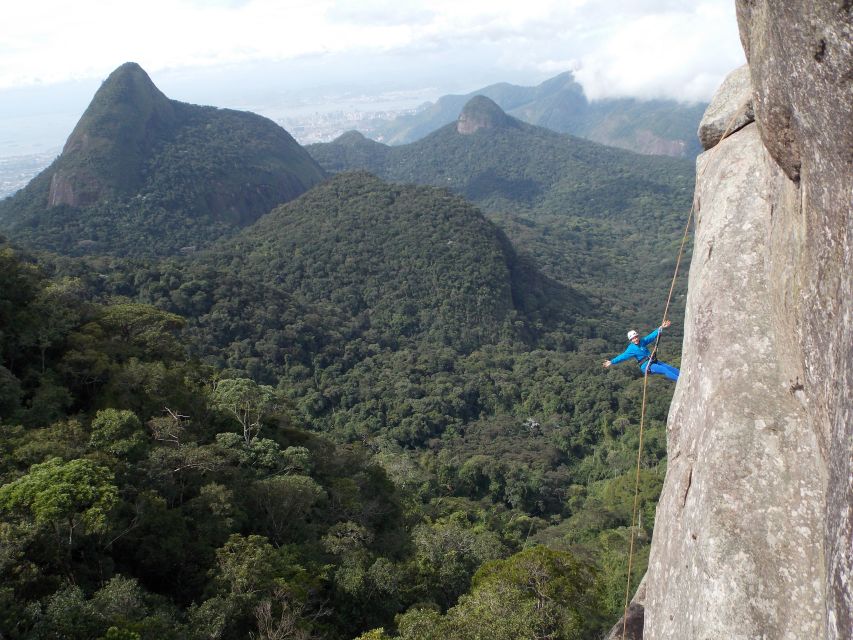 Rio de Janeiro: Hiking and Rappelling at Tijuca Forest - Key Highlights You’ll Actually Care About