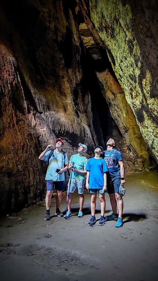 Rio de Janeiro: Tijuca Forest Challenge Hike Full-Day Trip - The Fitness Reality Check (Because Hard Means Hard)