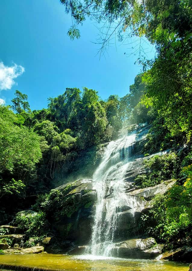 Rio de Janeiro: Tijuca Forest Challenge Hike Full-Day Trip - The Big View Moment: Taquara Hill and Two Possible Rio Panoramas