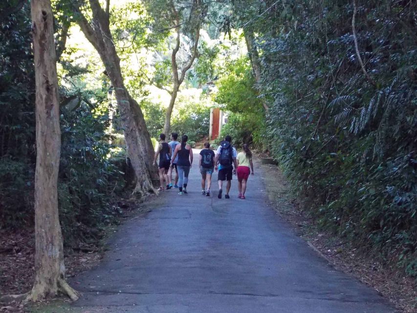 Rio de Janeiro: Tijuca Peak Guided Hike - Cachoeira das Almas Waterfall: A Refreshing Shift