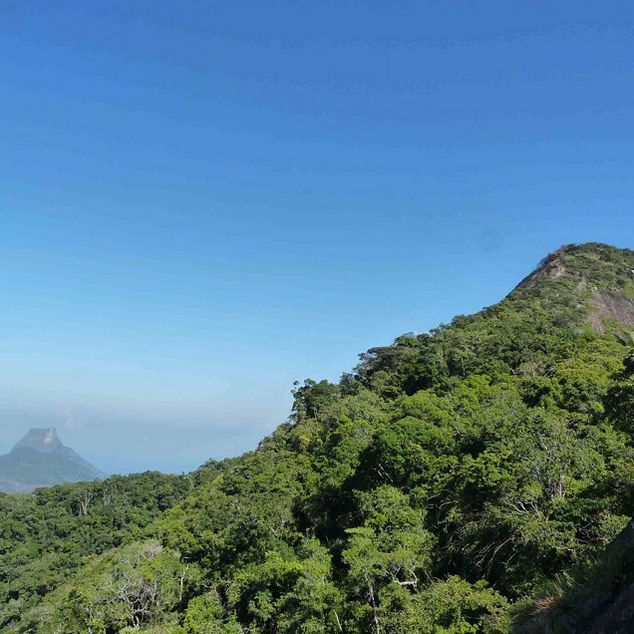 Rio de Janeiro: Tijuca Peak Guided Hike - Pace, Timing, and Group Size: What 6 Hours Really Feels Like