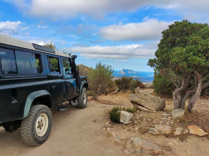 Rio Pitrisconi: Hiking e 4x4 nel Monte Nieddu - Key highlights you’ll feel right away