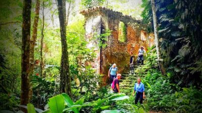 Rio: Tijuca Forest Small Group Hike to Caves and Waterfalls - Hotel pickup from Copacabana and Ipanema: less fuss, more trail time