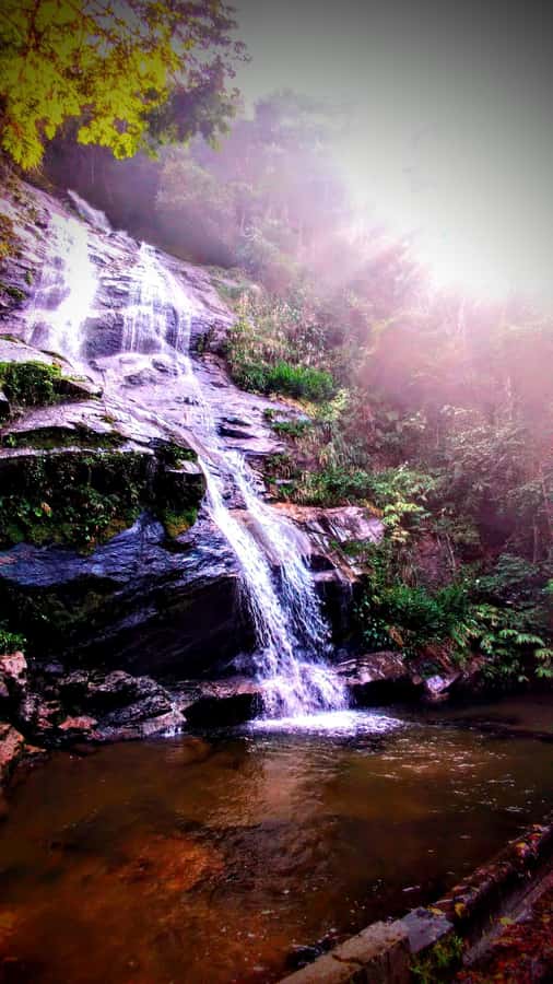 Rio: Tijuca Forest Small Group Hike to Caves and Waterfalls - Cascatinha Taunay: the biggest waterfall in the park
