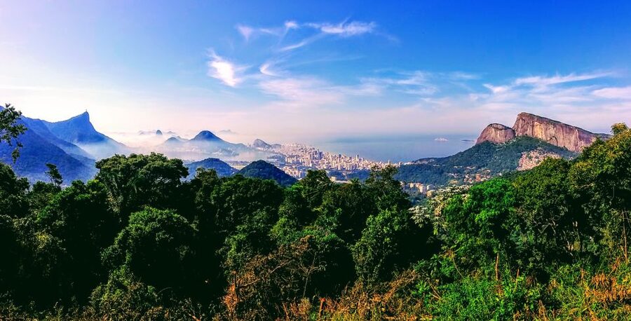 Rio: Tijuca National Park Small-Group Hike to Pedra Bonita - Who should book this hike, and who should skip it