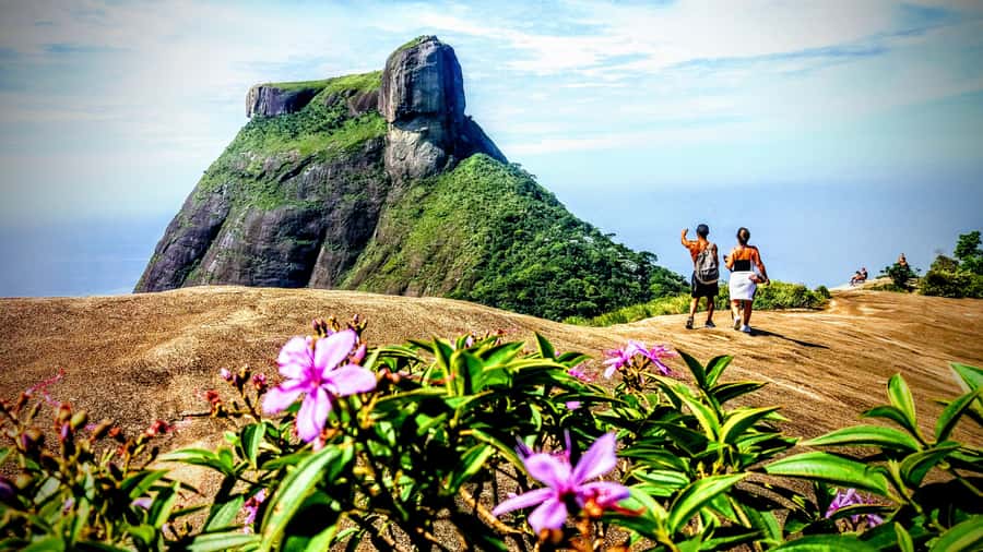 Rio: Tijuca National Park Small-Group Hike to Pedra Bonita - Tijuca’s Atlantic Rainforest: what you can actually spot