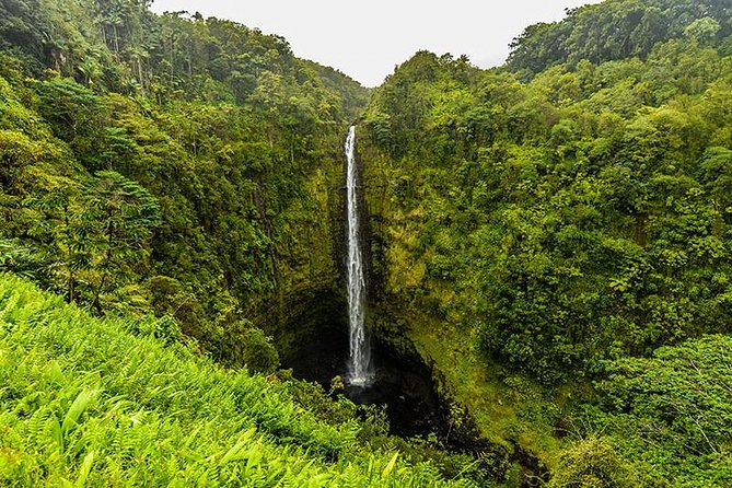 Road To Hana: Maui Waterfall Hiking Tour in Private Jeep - 7:00 am pickup, timing, and what the drive really feels like