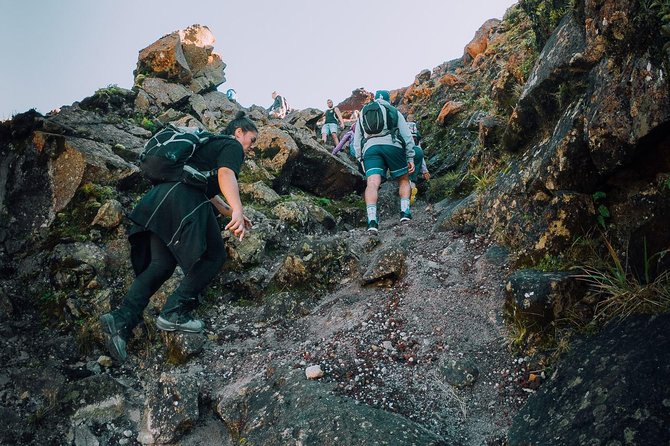 Rotorua Hiking: Mt Tarawera Guided Volcanic Crater Experience - Stop-by-stop: Kaitiaki Adventures, Waimangu Valley, Bretts Road, and the crater edge