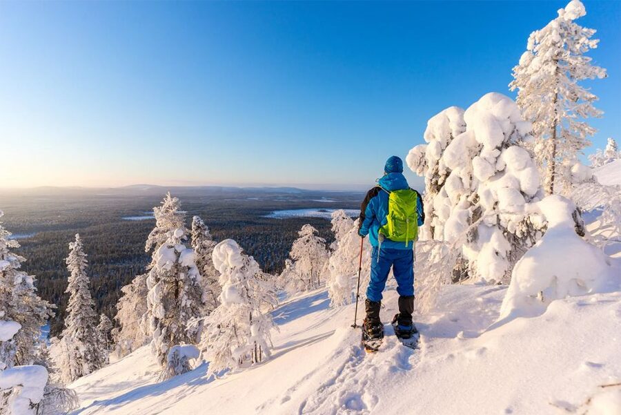 Rovaniemi: Hiking and Snowshoeing Adventure in Lapland - Key Points at a Glance