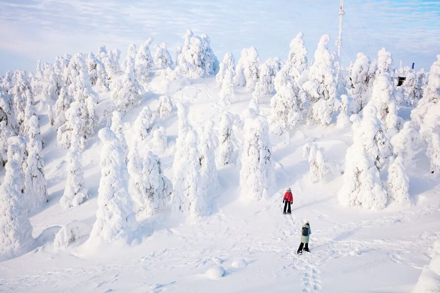 Rovaniemi: Hiking and Snowshoeing Adventure in Lapland - Why This Arctic Circle Snowshoe Stop Feels Worth It