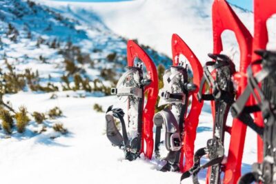 Rovaniemi: Hiking and Snowshoeing Adventure in Lapland - The 3-Hour Flow: What the Adventure Looks Like in Real Time