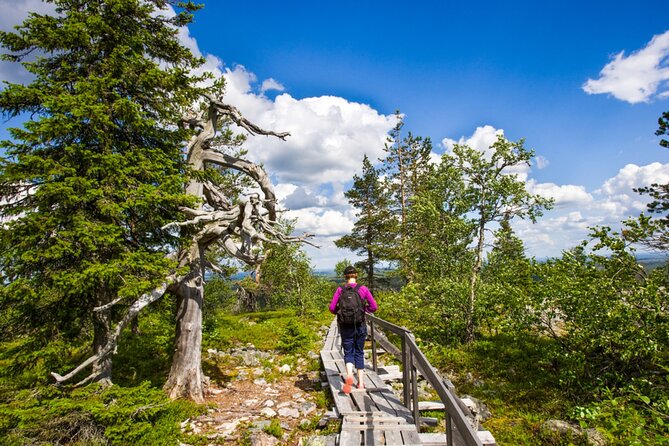 Rovaniemi Korouoma Canyon Hike and Barbecue Experience - Getting There: The 9:00 Start, Pickup Timing, and Small-Group Comfort