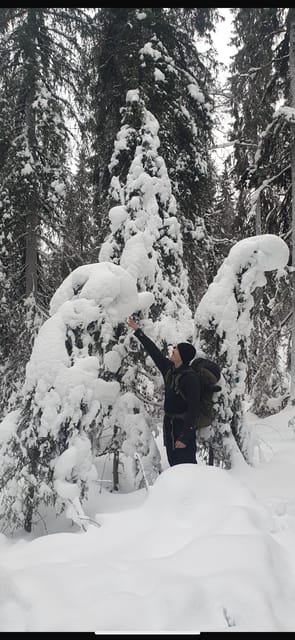 Rovaniemi: Korouoma Frozen Waterfalls Hike & Hot BBQ Lunch - The guided hike: winter boots, marked trails, and slippery reality