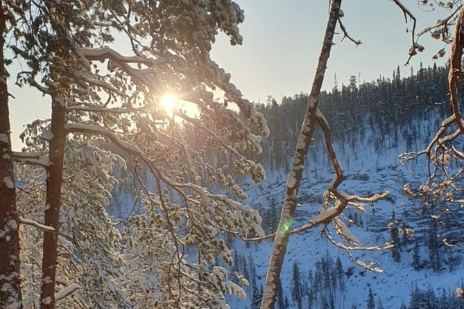 Rovaniemi: Korouoma Frozen Waterfalls Hike with Hot BBQ Lunch - The 5 km Frozen Canyon Hike: What Makes It Worth the Cold