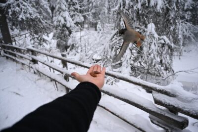 Rovaniemi: Korouoma Frozen Waterfalls Hike with Hot BBQ Lunch - Winter Gear Included: Comfort and Safety You Don’t Have to Guess