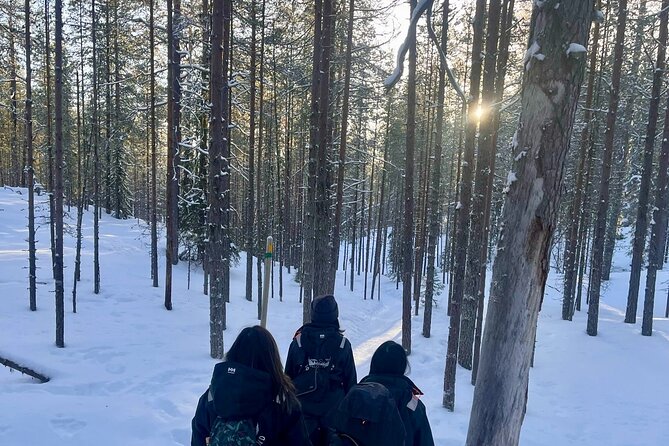 Rovaniemi: Korouoma Frozen Waterfalls Hike with Hot BBQ Lunch - Hot BBQ Lunch in the Arctic: Simple Food, Big Setting